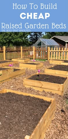 raised garden beds with text overlay that reads how to build cheap raised garden beds