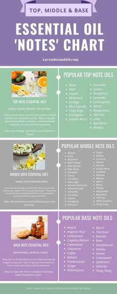 Essential Oil Perfume Blends, Notes Essentials, Essential Oil Perfumes Recipes, Essential Oil Diffuser Blends Recipes, Essential Oil Remedy, Perfume Recipes, Essential Oils Herbs