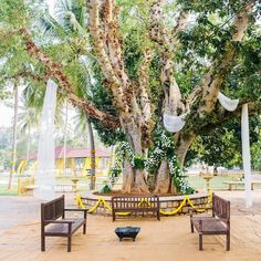 an outdoor seating area with chairs and a large tree