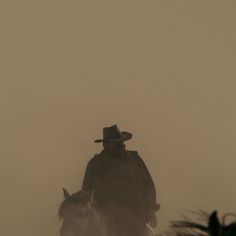 a man riding on the back of a white horse in foggy weather with a cowboy hat