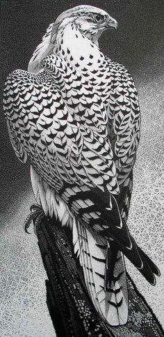 a black and white photo of a bird sitting on top of a piece of wood