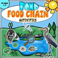 Food Chain Activities, Food Chain Worksheet, First Grade Science, Food Chains, 5th Grade Science, Science Resources, Elementary Science, Food Chain