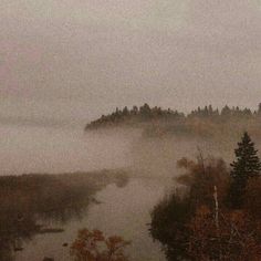 an image of fog in the air over water and trees on a cloudy day at dusk