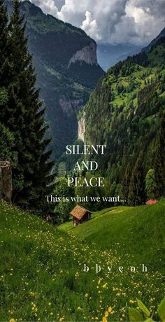 a green field with trees and mountains in the background, that says silent and peace this is what we want