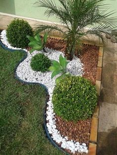 a small tree is in the middle of a flower bed made out of rocks and stones