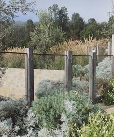 a fenced in area with plants and bushes