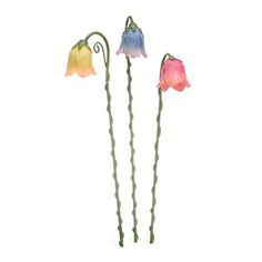 three colorful flowers are in the shape of long stems with twisted stems and curved ends