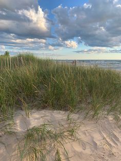 the grass is growing on the beach by the water and clouds are in the sky