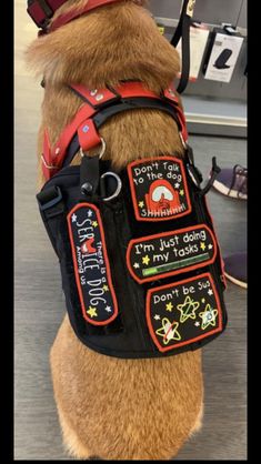 a brown dog wearing a black bag with patches on it's back and the words don't talk to someone, i'm just doing my tasks