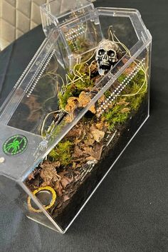 a clear box filled with dirt and plants on top of a black cloth covered table