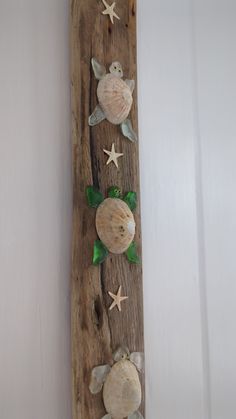 a wooden board with sea shells and starfish on it