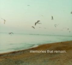 seagulls flying over the ocean with a message written on it that reads memories that remain