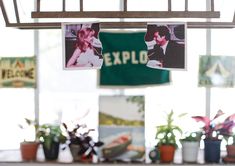 several photos hanging from the ceiling in front of potted plants