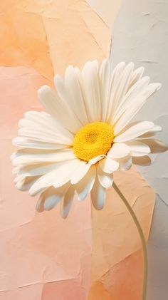 a large white flower sitting on top of a pink and orange wall next to a vase