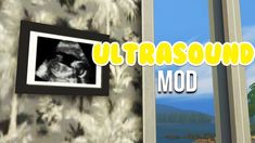 an image of a window with the words ultrasound mod