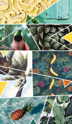 a collage of photos with bananas, pineapples and other tropical plants