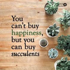 there are succulents on the table with a quote that says you can't buy happiness, but you can buy succulents