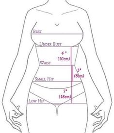 the size and measurements of a woman's body, with her measurements drawn to show how