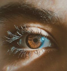 an eye with blue and brown colors is seen in this close up photo from the side