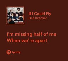 Spotify Quotes Best One Direction Lyrics, One Direction Love Lyrics, If I Could Fly One Direction, If I Could Fly Lyrics