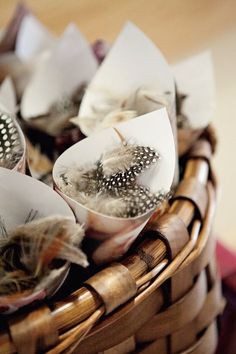 several feathers are placed in a wicker basket