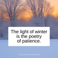 the light of winter is the poetry of patience