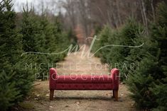 a red bench sitting in the middle of a forest filled with christmas tree bushes and trees