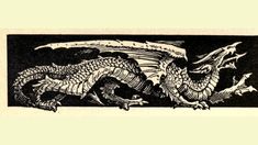 a black and white drawing of a dragon