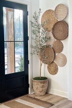 a potted plant in front of a door with wicker circles hanging on the wall