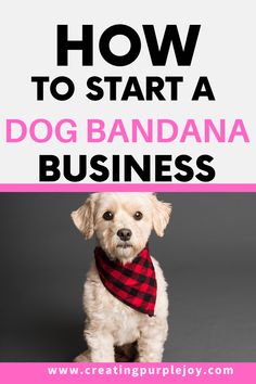 a dog wearing a bandana with the words how to start a dog bandana business