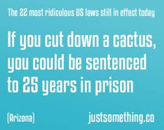 the text reads, if you cut down a cactus, you could be sentenced to 25 years in prison