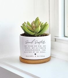 a small potted plant sitting on top of a white shelf next to a window