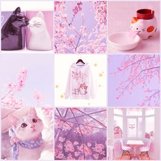 pink and purple collage with cats, flowers, umbrellas, cat sweater, bowl