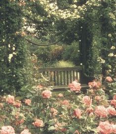 a wooden bench surrounded by flowers and greenery in a park or garden with roses growing all around it