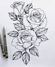 a drawing of three roses with leaves on the side and one flower in the middle