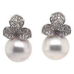 Fine Jewelry Earrings, Halo Earrings, Clover Earrings, Halo Earrings Studs, Sea Pearl, White Gold Earrings, Diamond Drop Earrings, Sea Pearls, Diamond Drops