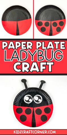 paper plate ladybug craft for kids to make