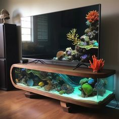 a fish tank sitting on top of a wooden table in front of a large tv