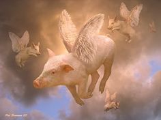 a pig flying in the sky with many birds around it and an angel on its back