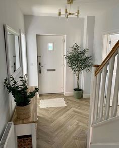 an entry way with white walls and wood flooring, plants in pots on the stairs