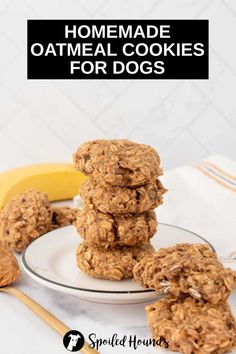 homemade oatmeal cookies for dogs stacked on a plate