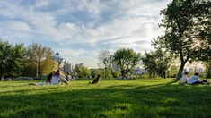 several people sitting on the grass in a park with trees and buildings in the background