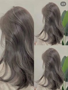 Grey Korean Hair, Beige Grey Hair Color, Brown Ash Grey Hair, Ash Taupe Gray Hair Color, Deep Ash Grey Hair, Cool Grey Hair Color, Silk Greige Hair, Milky Ash Brown Hair, Light Ash Gray Hair Color