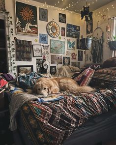 a large dog laying on top of a bed covered in blankets and blankets next to a window