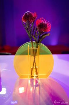 two red flowers in a yellow vase on a table