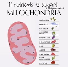 Mitochondrial Dysfunction, Lifestyle Medicine, Mitochondrial Health, Cellular Health, Health Chart, Cod Liver, Medical Laboratory Science, Chocolate Pumpkin, Cod Liver Oil