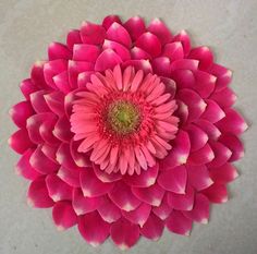 a large pink flower sitting on top of a white table next to a green center