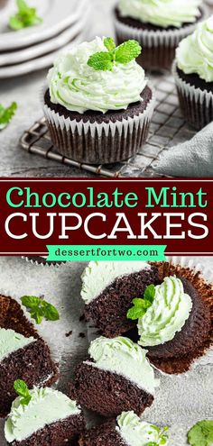 Complete your St. Patrick's Day sweets with this chocolate mint cupcake recipe! Topped with mint buttercream frosting, these chocolate cupcakes are the BEST. Everyone will love this easy St. Patrick's Day dessert! St Patricks Day Cupcake Flavors, St Patrick Cupcakes, St Patrick’s Day Cupcakes, St Patrick’s Day Desserts, St Patricks Day Cupcakes, Mint Buttercream Frosting, Chocolate Mint Cupcakes, Mint Buttercream