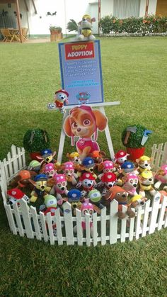 a bunch of toys that are sitting in the grass near a sign with information on it