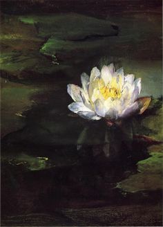 a white flower floating on top of water